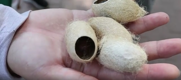 （图片来源：北京市顺义区融媒体中心）