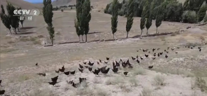 （图片来源：央视财经）