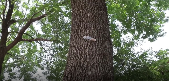 （图片来源：北京市顺义区融媒体中心）