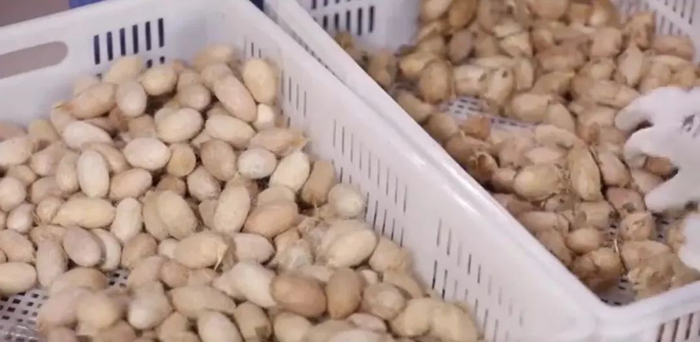 （图片来源：北京市顺义区融媒体中心）