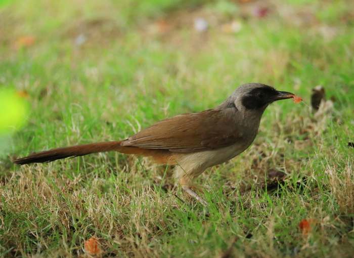 图片来源：视觉中国