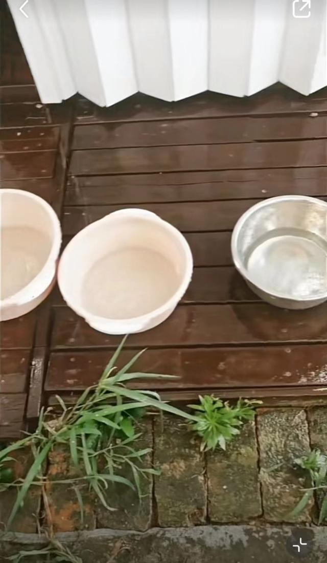 朱婷婷用来接雨水的盆/图：受访者视频截图
