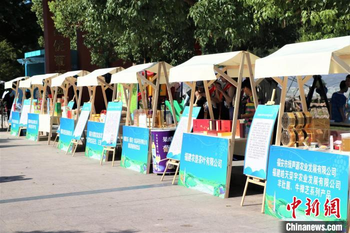 葡萄文化节会场现场，当地开设农特产品展区。王雯秋 摄