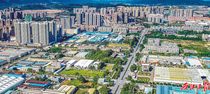肇庆高新区是广州都市圈产业领域协调发展的重要成员。西江日报通讯员 王振宇 摄