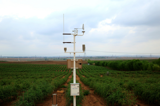 　　配图：百瑞源有机枸杞种植基地里分布着各种智慧检测系统