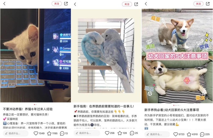 　　图片来源：小红书