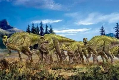 　　鸭嘴龙正在觅食芦苇