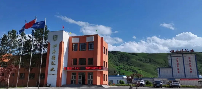 　　▲改造升级后的伊力特乳业