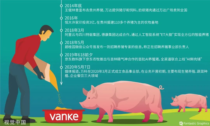 各大公司纷纷加入养猪阵营