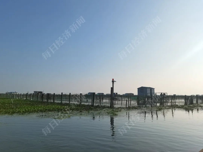 架在养殖区湖面上的铁皮棚