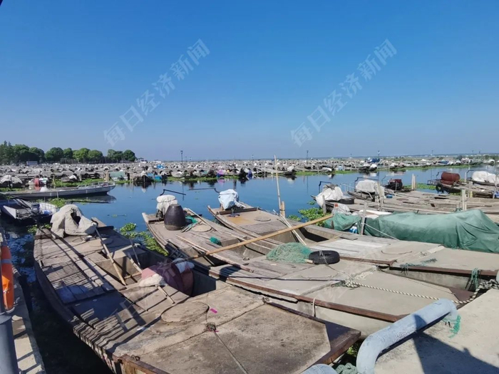 停泊着蟹农们小船的码头