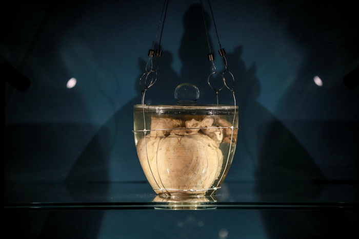 ↑当地时间2022年8月20日，葡萄牙波尔图，巴西第一任皇帝佩德罗一世的心脏在当地一座教堂内首次展出&nbsp;图自ICphoto