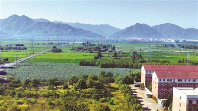     西坞街道美丽田园（余建文 摄）