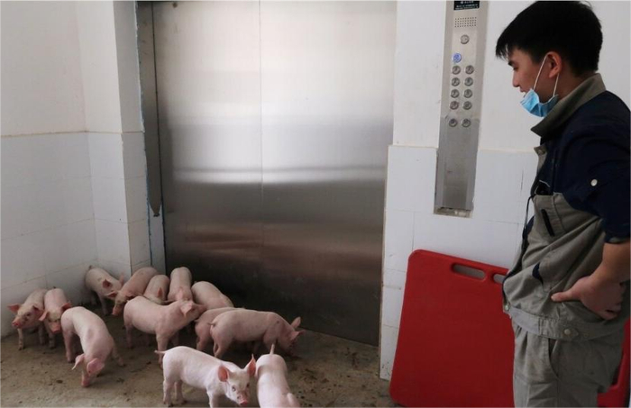 现在养殖场中越来越多大学生的身影