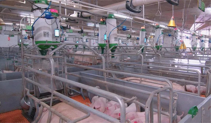 全信息自动化的养殖场