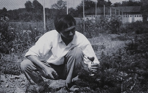 陈岳武在工作中。南京林大供图