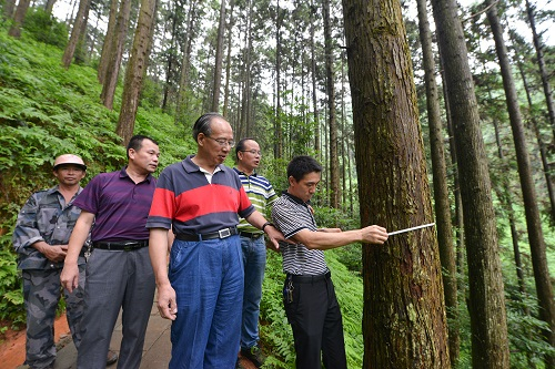 施季森（左三）带领团队调研。南京林大供图
