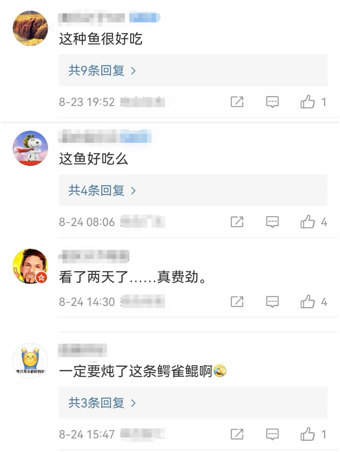 不少网友对于鳄雀鳝好不好吃这个话题颇感兴趣。微博留言截图