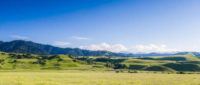 　　新疆那拉提旅游度假区