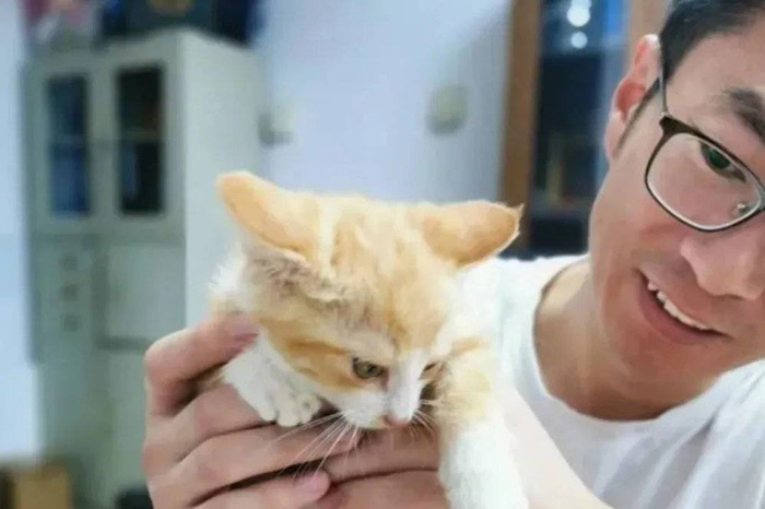 “本喵叫兔兔”和小橘猫“5块钱”。图源济南时报。