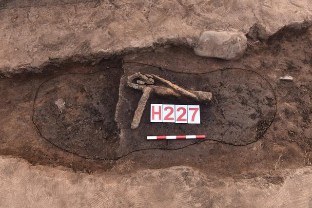 在此次发掘出土的储藏坑中发现了成堆的铁器。受访者供图