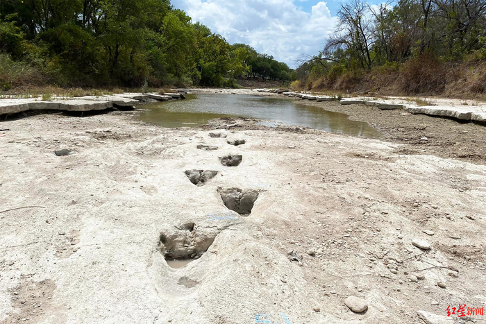↑美国一河床上显现一串有1.13亿年历史的恐龙脚印