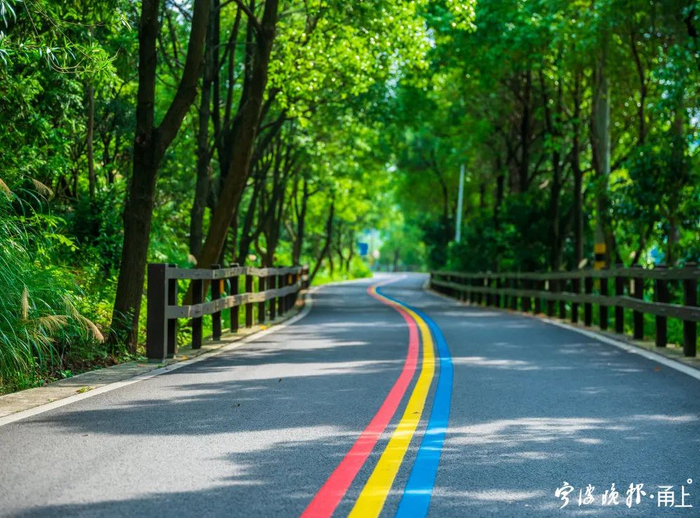 镇海区九龙湖四湖连珠绿道