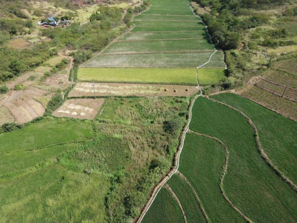8月20日航拍的耒阳市坛下乡抽水保灌现场图。（衡阳市应急管理局供图）
