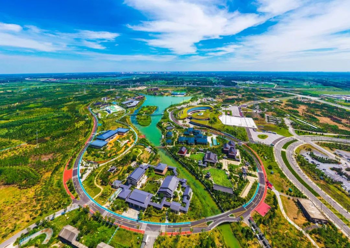 航拍的雄安郊野公园。河北日报记者李东宇摄