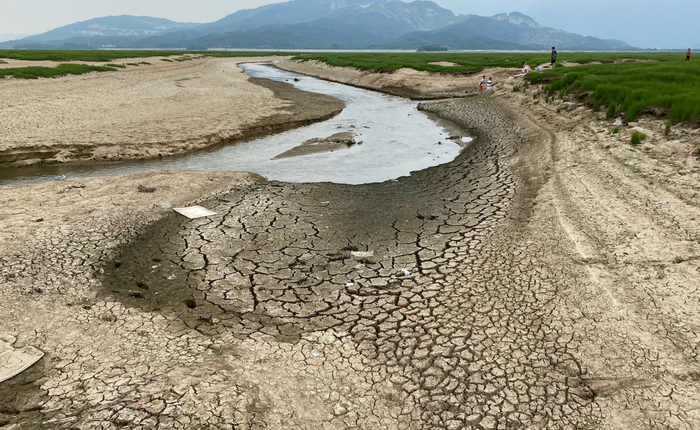 鄱阳湖湖床草原，不时可见干涸开裂的空地与低洼 时代周报记者王晨婷摄