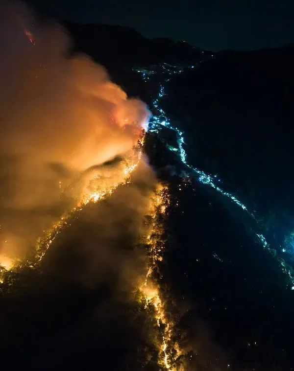 图片来源：重庆晨报（周瑄 摄）