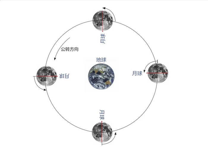 月球潮汐锁定示意图