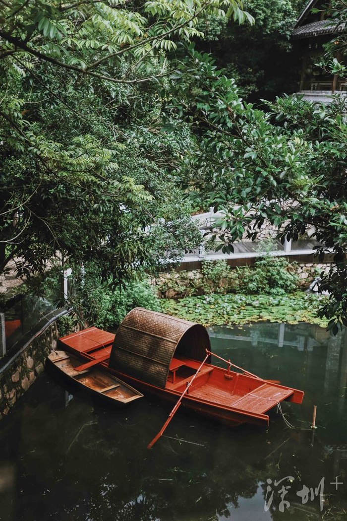 ▲荷塘小船