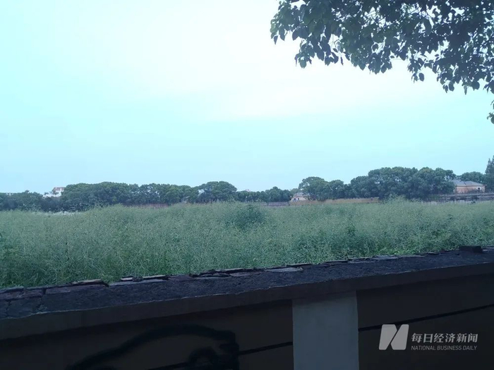 城投控股拿下的长宁地块 每经记者 刘颂辉 摄