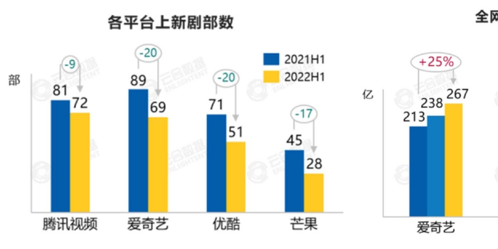 爱奇艺二季度财报亮点：持续盈利、会员订阅创造高价值_手机新浪网