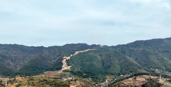火灭以后的虎头山，阻隔带如一条玉带一般，也成为一道独特的风景，青山依旧在。张越摄