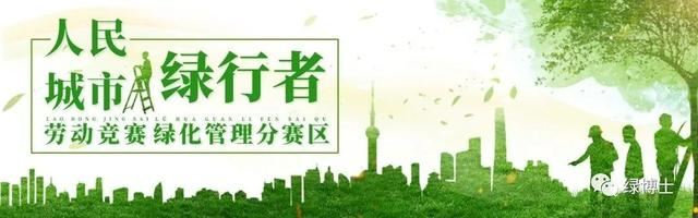 素材来源：@绿博士