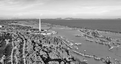     这是2022年8月5日拍摄的合肥市包河区的巢湖湖滨湿地。新华社发（叶玉庭摄）