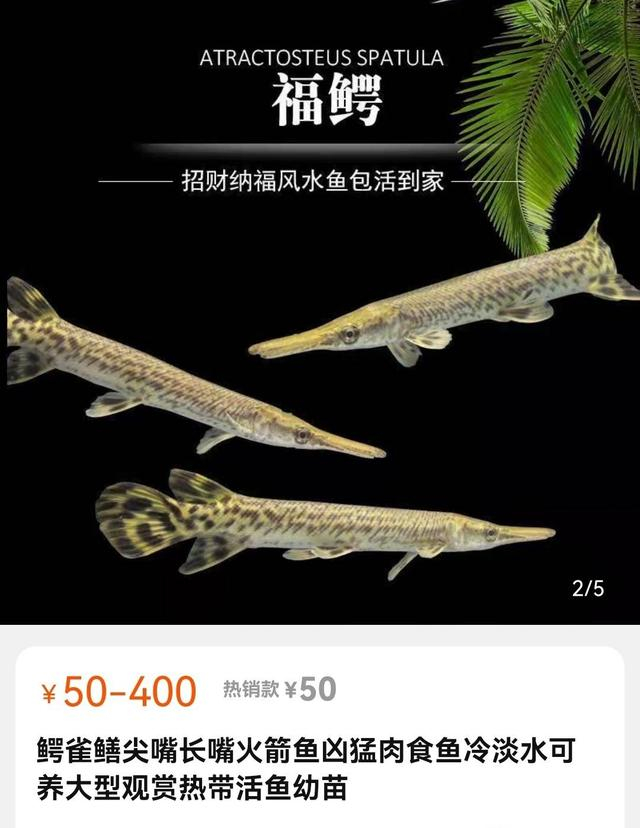 卖家销售页面截图