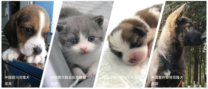 ↑图片自希诺谷官方微信公众号