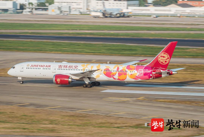 图为吉祥航空787机队“绚彩花瓣”彩绘机
