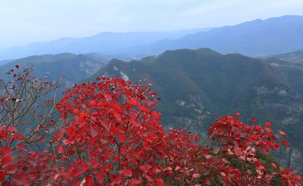 记者 胡素华  通讯员 卢先庆 鲁作炳  摄