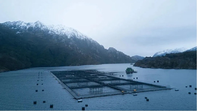 　　佳沃食品智利三文鱼渔场自然环境