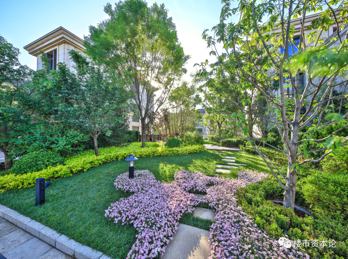 项目周边实景图