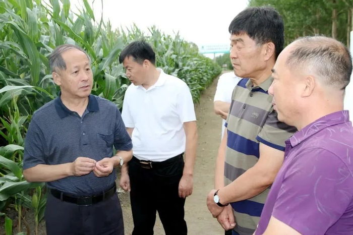 集团农业发展部督导调研组到牡丹江分公司就农业重点工作进行督导调研。原阳 摄