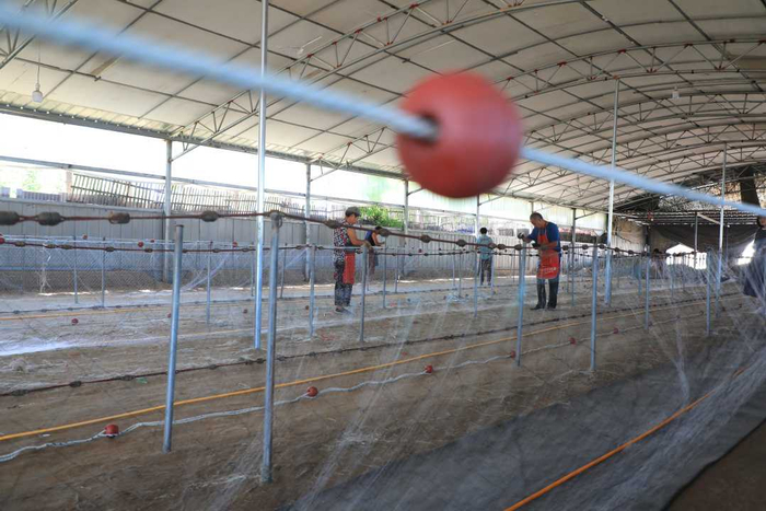 工人在河北省滦南县程庄镇东胡家坡村一家网具加工企业内织网。