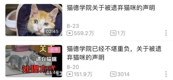 声明视频已经有了几百万的播放量。/@本喵叫兔兔 B站主页截图