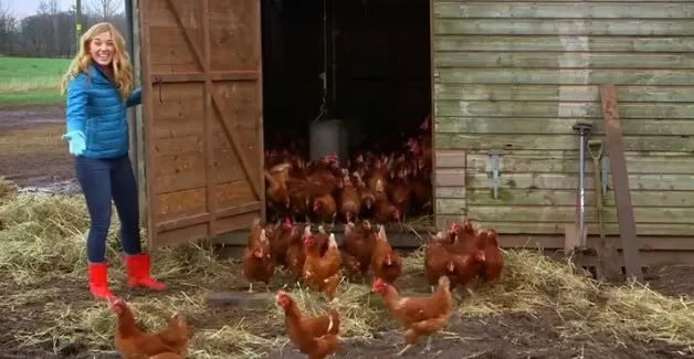 《麦迪告诉你》剧照