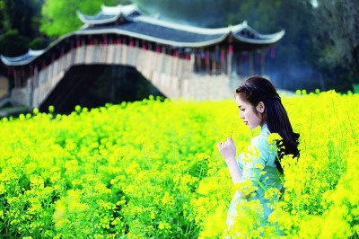 游客在文兴桥畔的花海里留影 图片由泰顺县委宣传部提供