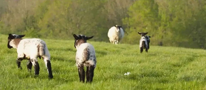 《克拉克森的农场》剧照